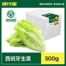 GREER 绿行者 西班牙生菜新鲜蔬菜沙拉材料轻食清香爽口叶菜生菜500g