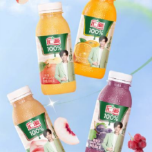 汇源果汁 300ml*8瓶 混合口味装（2-3个口味）
