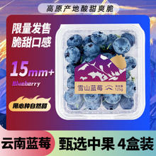 Mr.Seafood 京鲜生 云南蓝莓 4盒礼盒装 约125g/盒