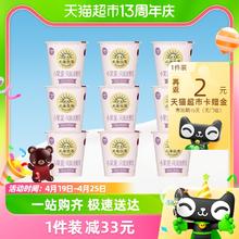 LAND OF PROMISE 北海牧场 酸奶小果泥黑加仑风味发酵乳100g*9杯