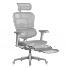 Ergonor 保友金豪b2/雄鹰 人体工学椅 电脑椅 电竞椅办公椅子可躺老板椅 【金豪b2】银白网+躺舒宝-尼龙脚