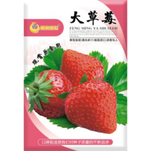 PLUS会员: 凤鸣雅世 奶油大草莓种籽 500粒