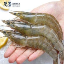 京东百亿补贴:万景 鲜冻国产白虾 净重4斤 100-120只