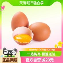 喵满分 无菌鸡蛋 20枚