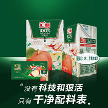 汇源 100%果汁苹果汁 200ml*12盒 礼盒装整箱