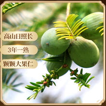 山味情 香榧子2024新货诸暨特产500g枫桥香匪坚果炒货香妃菲零食干果批发