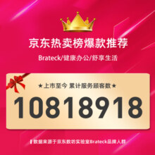Brateck北弧架子 戴森吸尘器支架 戴森支架g5v8v10v12v15戴森收纳架dyson吸尘器配件免打孔挂架小狗追觅