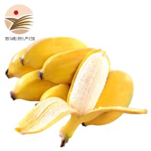 PLUS会员：静益乐源 广西小米蕉 粉蕉 5斤*2件