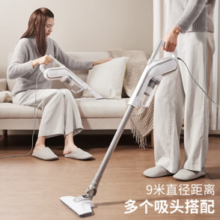 POLDAUN 普利顿 浦利顿家用吸尘器 手持推杆二合一