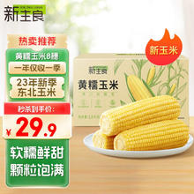 新主良 黄糯鲜玉米200g*8穗 低脂玉米棒糯玉米