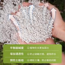 船长花园 珍珠岩蛭石大颗粒养花通用营养土多肉兰种植育苗膨胀保温植料基质