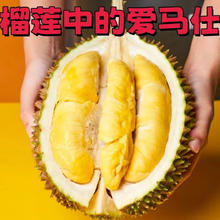 龙觇 AA果 泰国猫山王榴莲 3斤装/保4房