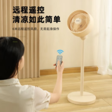 DAEWOO 大宇 空气循环扇遥控电风扇台地两用 X9遥控款