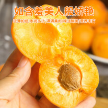 陕西大黄杏子新鲜水果5斤