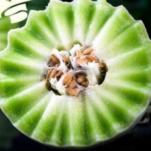 PLUS会员：恋春秋 冰淇淋玉菇甜瓜 5斤大果