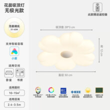 鹿家良品（LUUGAA）花晨卧室灯吸顶灯现代简约客厅灯奶油风房间灯led儿童房护眼灯具 护眼50cm无极光52W小爱同学