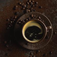 Kicking Horse Coffee 研磨咖啡 深度烘焙 强劲 深度烘焙 10盎司(约283.5克)