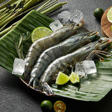 喵满分 大号黑虎虾新鲜大虾1kg（30-40只）鲜活速冻海鲜水产