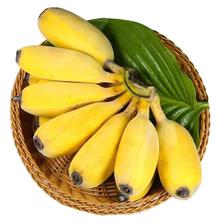 鲜程祥合 禁止蕉绿苹果蕉 净重9斤