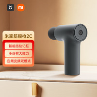 MIJIA 米家 MJJMQ03YM 迷你筋膜枪 深灰色