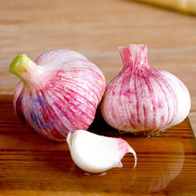 春平赋 腌制糖蒜 2斤