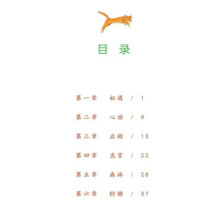 猫武士注音美绘版（首部曲）（前6册）