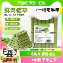 88VIP会员：疯狂的主人 猫草棒 8根/罐