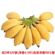 京东百亿补贴：梦芷广西小米蕉带箱 5斤 装(2件升级泡沫箱保鲜装)