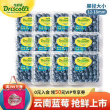 Driscoll's Only the Finest Berries 怡颗莓 当季云南蓝莓 国产蓝莓 新鲜水果 云南当季125g*12盒