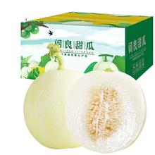 现摘现发 阎良甜瓜 4.5斤装 2-4枚