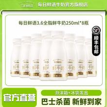 SHINY MEADOW 每日鲜语 蒙牛每日鲜语全脂生牛乳鲜牛奶250ml*8瓶装学生孕妇儿童早餐奶