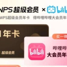 PLUS会员：WPS 金山软件 超级会员15个月卡+哔哩哔哩大会员年卡