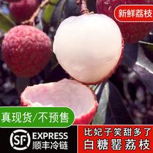 百亿补贴：叶河源 正宗广东高州白糖罂荔枝净重4.5斤非妃子笑