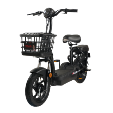 20点开始：ZUB 五星钻豹 A0 电动自行车 TDT29Z 48V12Ah铅酸电池 源彩黑