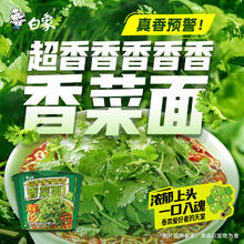 BAIXIANG 白象 香菜方便面桶装速食泡面香菜面6桶