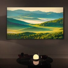 预售、PLUS会员：LG65英寸 OLED65C4PCA 4K超高清全面屏专业智能游戏电视 120HZ高刷新0.1ms低延迟 (65C3升级款）