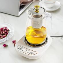 君耀美味世家 办公室养生壶分体式高硼砰玻璃煮花茶神器家用小型耐热泡茶烧水壶