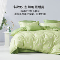 BLISS 百丽丝 纯棉床上四件套  夏日系列 1.5米床