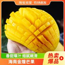 海南金煌芒 3斤250g+