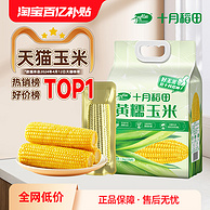 十月稻田 真空黄糯白糯黑糯玉米棒 220g/260g*8根同价