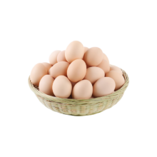 田农肴 正宗土鸡蛋 10枚装【约450g】