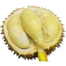 晨木鲜生 新鲜进口金枕头榴莲 3-4斤