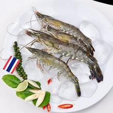 鲜京采 精选单冻黑虎虾（大号31-40只）净重1kg