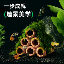 yee 意牌 躲避屋鱼缸造景莫斯水草真植物懒人摆件陶罐鱼虾躲避洞繁殖罐虾屋