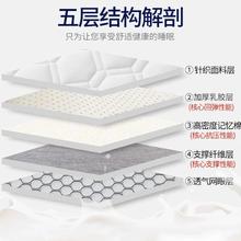 沅姿 乳胶床垫软垫家用榻榻米垫褥子学生宿舍单人海绵垫子冬季高密度