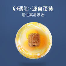MAG 鱼油卵磷脂猫咪牛磺酸狗狗深海三文鱼软磷脂350g