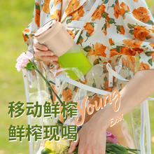 Royalstar 荣事达 RZ-28M2 多功能迷你榨汁机