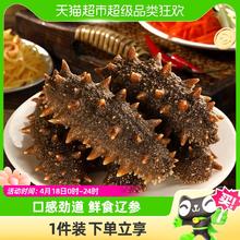 88VIP会员：Three Dolphins 三只海豚 大连即食海参辽参单个装500g