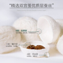 太湖雪蚕丝被夏被芯100%双宫茧桑蚕长丝被子手工定位沁柔1斤