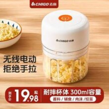 Chigo 志高 ZG-RSA6 电动捣蒜器/料理机300mL